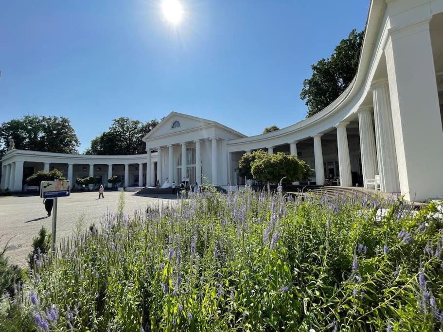 Stadt-Oase - Kostenlos Parken, Ruhig, Kliniken, Gop, Bali-Therme, Boxspringbett Bad Oeynhausen Buitenkant foto